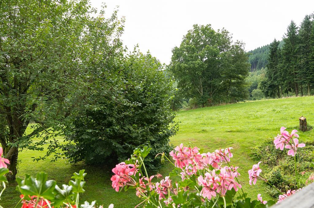 Gasthof & Landhotel Ohrnbachtal Weilbach Exterior photo